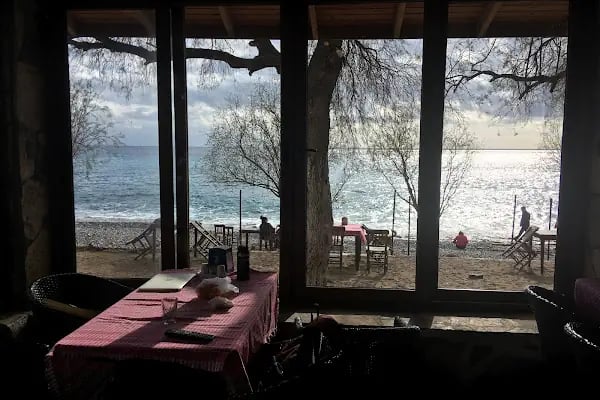 Şahin Motel restaurant - Resim 19
