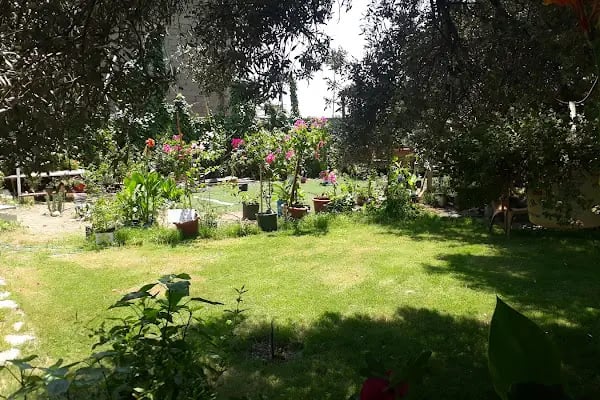 Şahin Motel restaurant - Resim 18