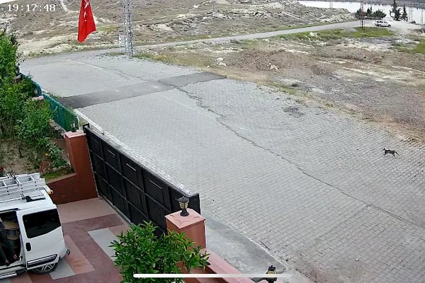 Boss Güvenlik Sistemleri Nizip Güvenlik Kamerası Ve Alarm Sistemleri - Resim 18