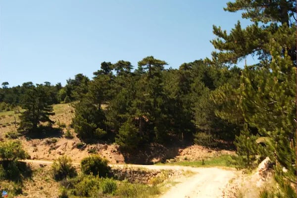 Teke Dağı Milli Parkı - Resim 9
