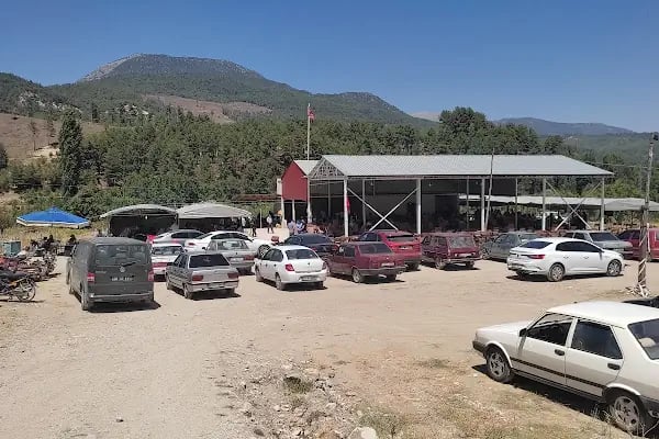 Alcı Köyü Düğün Mevlid Alanı - Resim 1