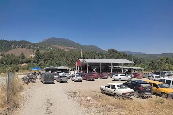 Alcı Köyü Düğün Mevlid Alanı - Resim 2
