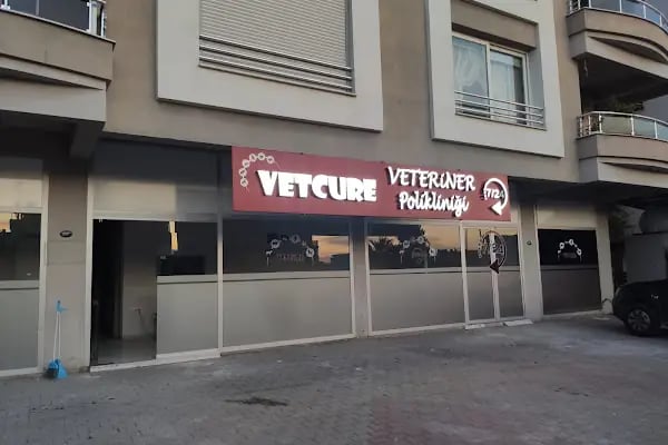 Vetcur Aliağa veteriner polikliniği - Resim 9