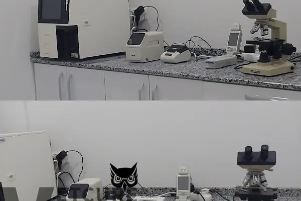 Vetcur Aliağa veteriner polikliniği - Resim 1
