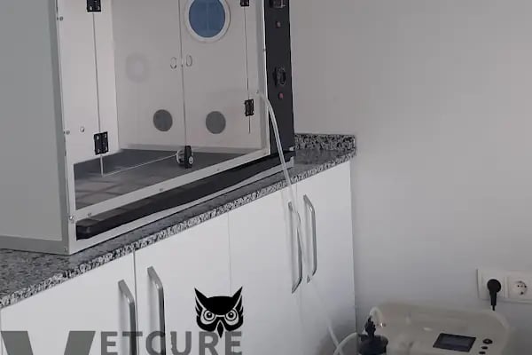 Vetcur Aliağa veteriner polikliniği - Resim 6