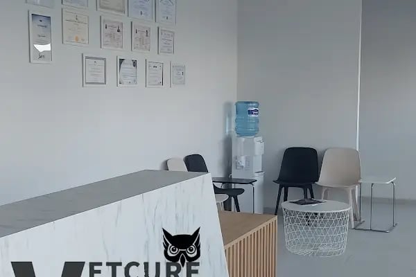 Vetcur Aliağa veteriner polikliniği - Resim 7
