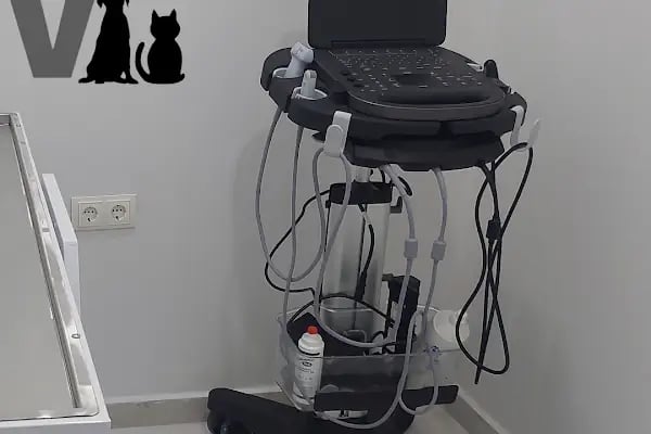 Vetcur Aliağa veteriner polikliniği - Resim 5