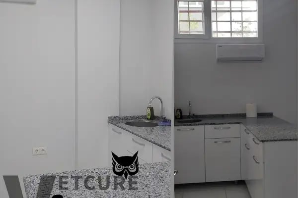Vetcur Aliağa veteriner polikliniği - Resim 3
