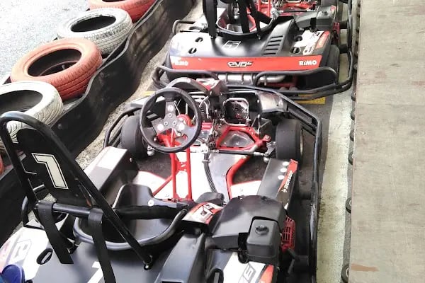Fevpark Dragos Go-Kart - Resim 16