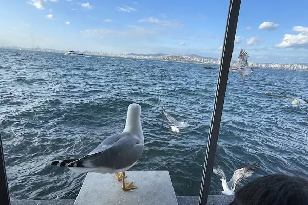 Ali Baba Balık Restaurant - Resim 19