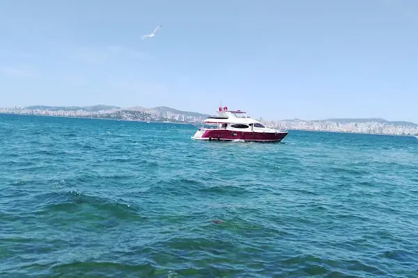 Ali Baba Balık Restaurant - Resim 5