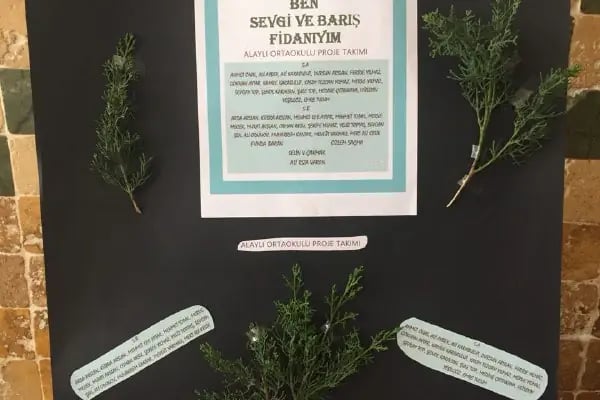 Alaylı Ortaokulu - Resim 14