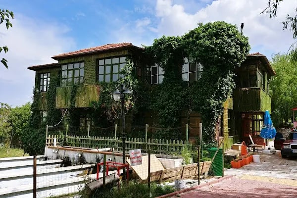 TAYYAR ATİKER DÜĞÜN &amp; ÇARŞI YEMEKLERİ - Resim 4