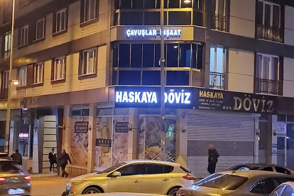 HASKAYA DÖVİZ VE ALTIN TİCARETİ B GRUBU SINIRLI YETKİLİ MÜESSESE A.Ş. - Resim 3