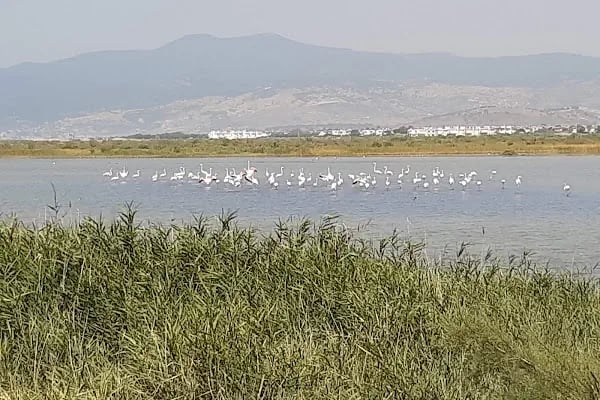 yeni çandarlı limanı - Resim 4
