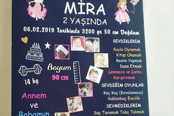 ARAZ COPY - Resim 11