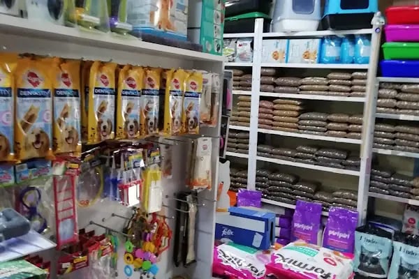 Yağmur Pet Shop - Resim 18