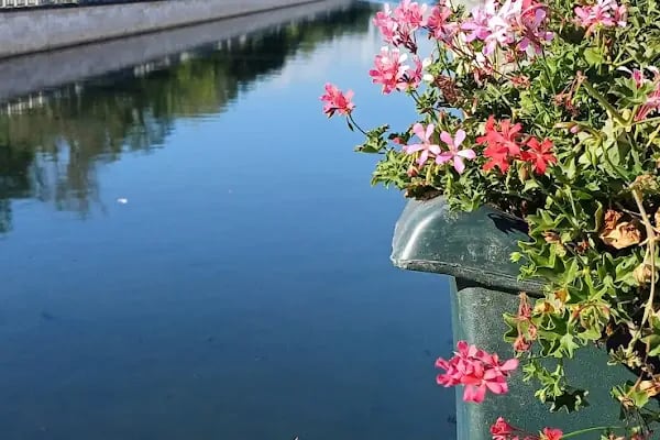 Kağıthane Belediyesi Yeşil Vadi Bisiklet ve Yürüyüş Yolu - Resim 11