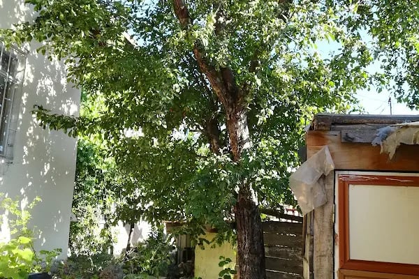 Ümraniye Cami - Resim 5