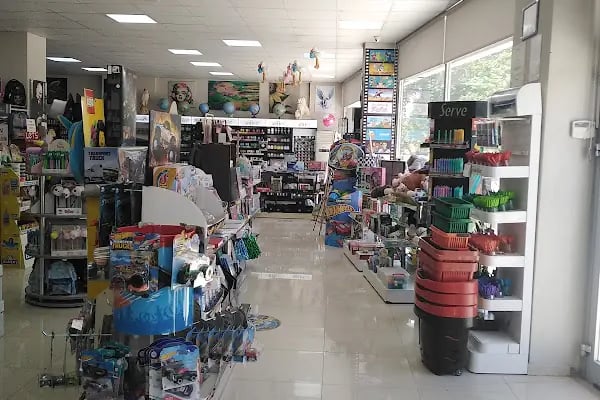 Ofisser Kırtasiye Aşık Veysel Şube - Resim 8