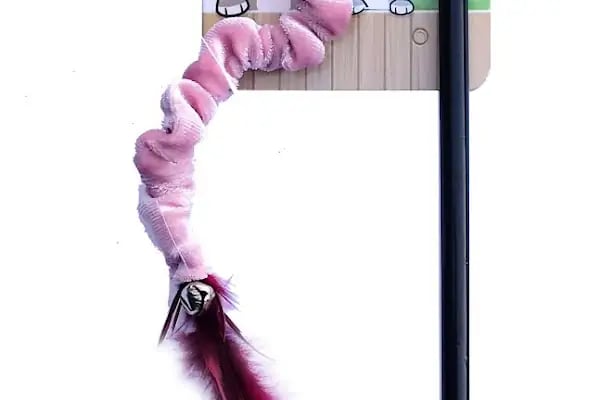 Ataşehir Nokta Pet Shop - Resim 8