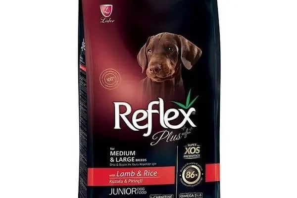 Ataşehir Nokta Pet Shop - Resim 3