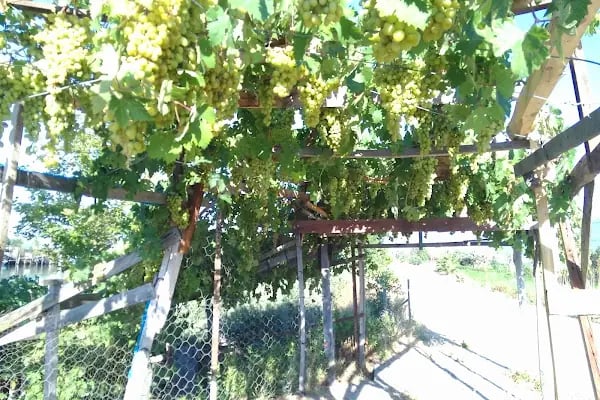 Kap Hotel Aile Balık Restoran - Resim 9
