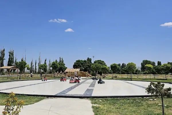 Aksaray Atlantia At Çiftliği - Resim 20