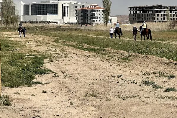 Aksaray Atlantia At Çiftliği - Resim 17