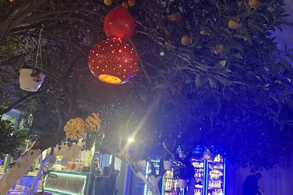 Trafo Cafe &amp; Restaurant - Bodrum Belediye A.Ş. - Resim 7
