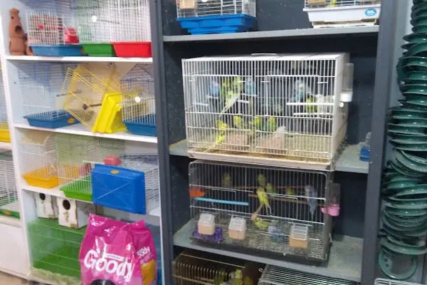 Ardiçlar Av Bayi Pet Shop - Resim 2