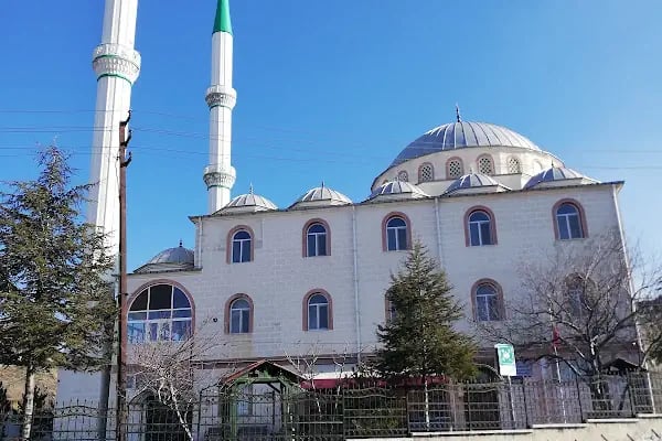 Doğantepe Birlik Cami - Resim 8