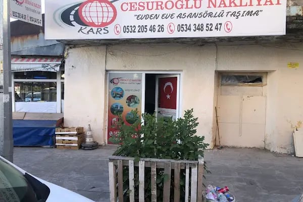 cesuroğlu evden eve nakliyat - Resim 1