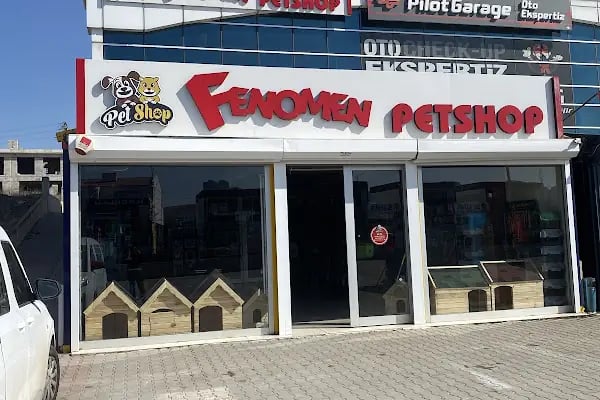 Fenomen Pet Shop - Pet Çiftlik - Kedi Köpek Satış Merkezi - Resim 2