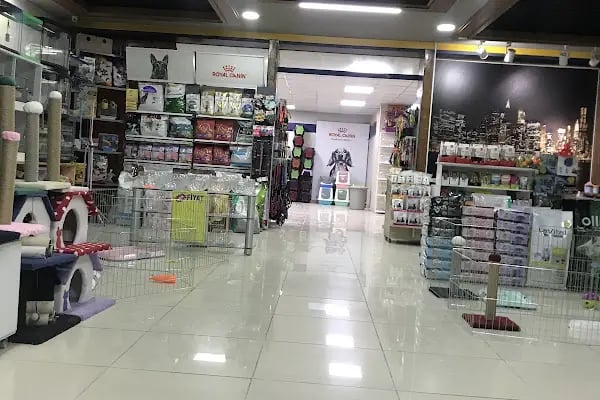 Fenomen Pet Shop - Pet Çiftlik - Kedi Köpek Satış Merkezi - Resim 4