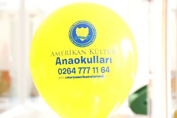 Sakarya Amerikan Kültür Anaokulu - Resim 18