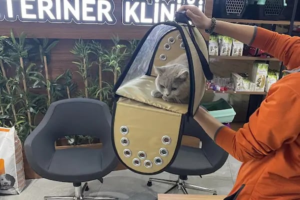 Olimpiyat Veteriner Kliniği - Resim 6
