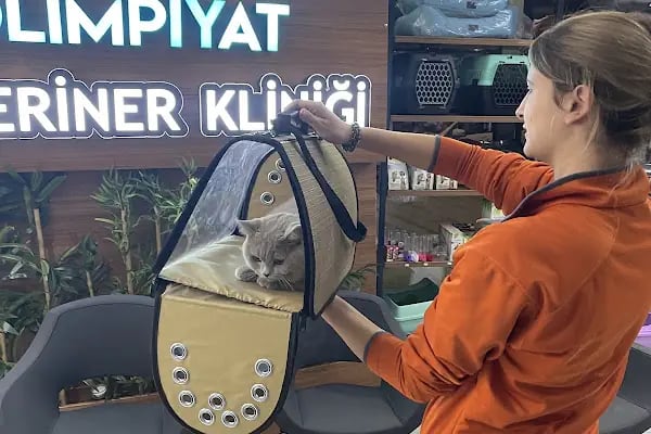 Olimpiyat Veteriner Kliniği - Resim 7
