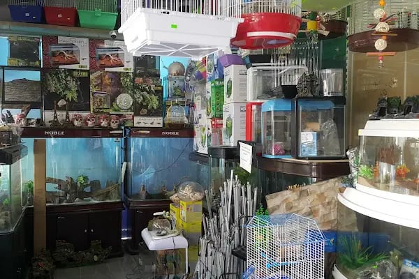 Malawi İzmir Akvaryum ve Pet Ürünleri - Resim 15