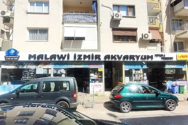Malawi İzmir Akvaryum ve Pet Ürünleri - Resim 2