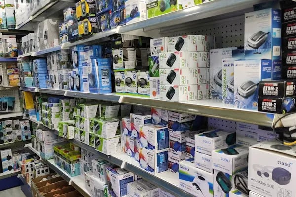 Malawi İzmir Akvaryum ve Pet Ürünleri - Resim 11