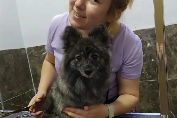 PURLİNA PET KUAFÖR VE MARKET - Resim 19