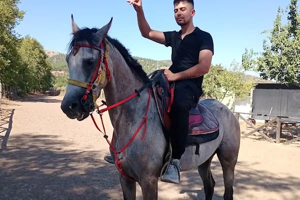 Mavi Oba At Çiftliği Ve Kahvaltı Merkezi - Resim 6