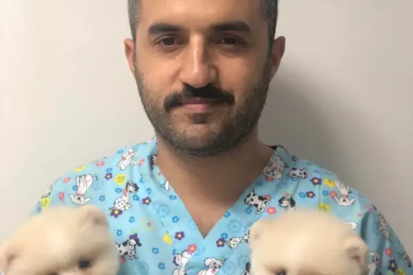 Ataşehir Pet Kuaför - Resim 8