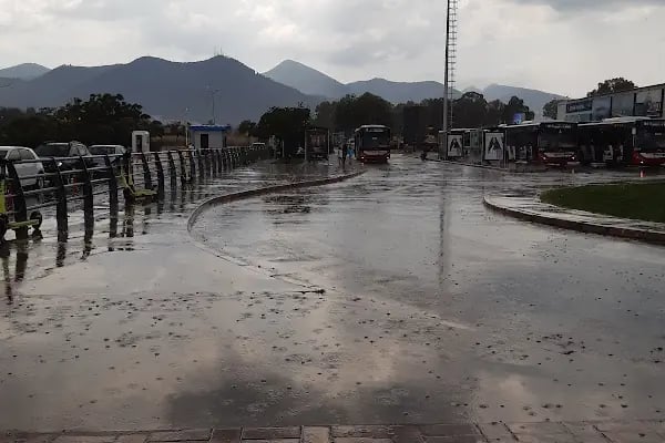Üçkuyular İskelesi - Resim 17