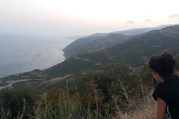 Kartaltepe Tabiat Parkı - Resim 18
