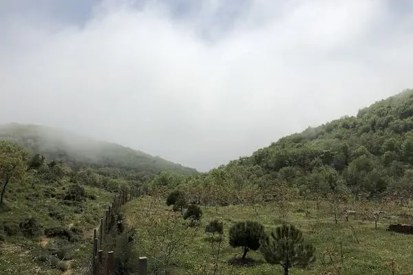 Kartaltepe Tabiat Parkı - Resim 17