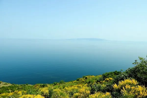 Kartaltepe Tabiat Parkı - Resim 3