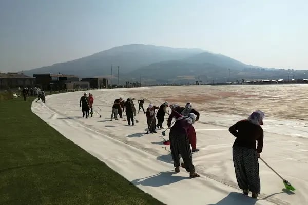 Olifa Temizlik Hizmetleri - Resim 9