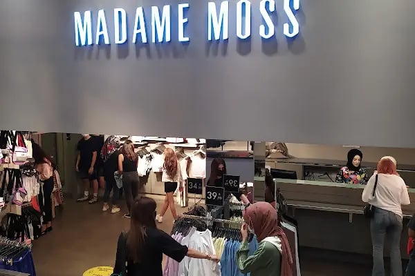 Madame Moss - Resim 12